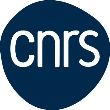 Expert technique SAP et administrateur système sur un projet SAP HR