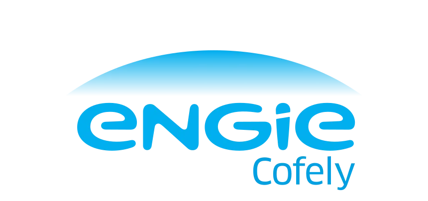 Expert technique SAP | Fusion des SI de COFathec et ELYo.